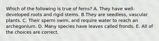 Which of the following is true of ferns? A. They have well-developed roots and rigid stems. B.They are seedless, vascular plants. C. Their sperm swim, and require water to reach an archegonium. D. Many species have leaves called fronds. E. All of the choices are correct.