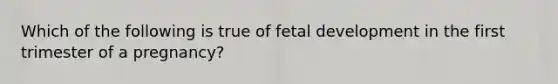 Which of the following is true of fetal development in the first trimester of a pregnancy?