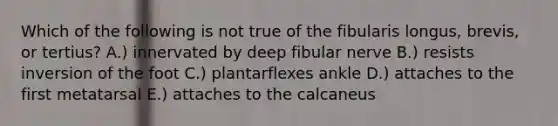 Which of the following is not true of the fibularis longus, brevis, or tertius? A.) innervated by deep fibular nerve B.) resists inversion of the foot C.) plantarflexes ankle D.) attaches to the first metatarsal E.) attaches to the calcaneus