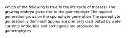 Which of the following is true fo the life cycle of mosses? The growing embryo gives rise to the gametophyte The haploid generation grows on the sporophyte generation The sporophyte generation is dominant Spores are primarily distributed by water currents Antheridia and archegonia are produced by gametophytes