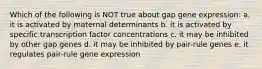 Which of the following is NOT true about gap gene expression: a. it is activated by maternal determinants b. it is activated by specific transcription factor concentrations c. it may be inhibited by other gap genes d. it may be inhibited by pair-rule genes e. it regulates pair-rule gene expression