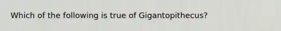 Which of the following is true of Gigantopithecus?