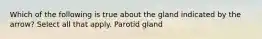 Which of the following is true about the gland indicated by the arrow? Select all that apply. Parotid gland