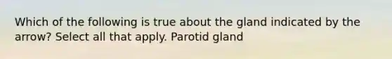 Which of the following is true about the gland indicated by the arrow? Select all that apply. Parotid gland