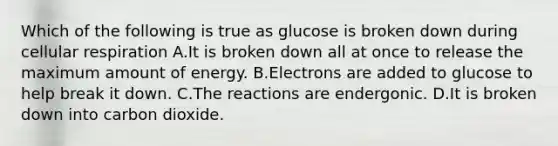 Which of the following is true as glucose is broken down during cellular respiration A.It is broken down all at once to release the maximum amount of energy. B.Electrons are added to glucose to help break it down. C.The reactions are endergonic. D.It is broken down into carbon dioxide.