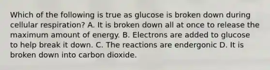 Which of the following is true as glucose is broken down during cellular respiration? A. It is broken down all at once to release the maximum amount of energy. B. Electrons are added to glucose to help break it down. C. The reactions are endergonic D. It is broken down into carbon dioxide.