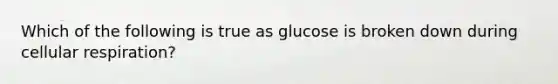 Which of the following is true as glucose is broken down during <a href='https://www.questionai.com/knowledge/k1IqNYBAJw-cellular-respiration' class='anchor-knowledge'>cellular respiration</a>?