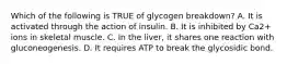 Which of the following is TRUE of glycogen breakdown? A. It is activated through the action of insulin. B. It is inhibited by Ca2+ ions in skeletal muscle. C. In the liver, it shares one reaction with gluconeogenesis. D. It requires ATP to break the glycosidic bond.