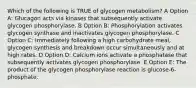 Which of the following is TRUE of glycogen metabolism? A Option A: Glucagon acts via kinases that subsequently activate glycogen phosphorylase. B Option B: Phosphorylation activates glycogen synthase and inactivates glycogen phosphorylase. C Option C: Immediately following a high carbohydrate meal, glycogen synthesis and breakdown occur simultaneously and at high rates. D Option D: Calcium ions activate a phosphatase that subsequently activates glycogen phosphorylase. E Option E: The product of the glycogen phosphorylase reaction is glucose-6-phosphate.