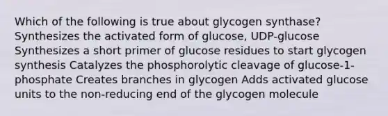 Which of the following is true about glycogen synthase? Synthesizes the activated form of glucose, UDP-glucose Synthesizes a short primer of glucose residues to start glycogen synthesis Catalyzes the phosphorolytic cleavage of glucose-1-phosphate Creates branches in glycogen Adds activated glucose units to the non-reducing end of the glycogen molecule