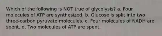 Which of the following is NOT true of glycolysis? a. Four molecules of ATP are synthesized. b. Glucose is split into two three-carbon pyruvate molecules. c. Four molecules of NADH are spent. d. Two molecules of ATP are spent.