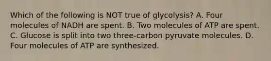 Which of the following is NOT true of glycolysis? A. Four molecules of NADH are spent. B. Two molecules of ATP are spent. C. Glucose is split into two three-carbon pyruvate molecules. D. Four molecules of ATP are synthesized.