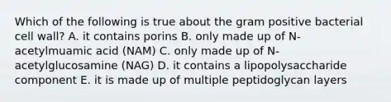 Which of the following is true about the gram positive bacterial cell wall? A. it contains porins B. only made up of N-acetylmuamic acid (NAM) C. only made up of N-acetylglucosamine (NAG) D. it contains a lipopolysaccharide component E. it is made up of multiple peptidoglycan layers