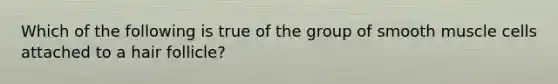 Which of the following is true of the group of smooth muscle cells attached to a hair follicle?