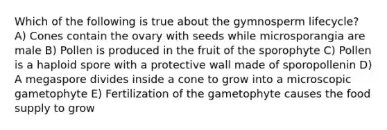 Which of the following is true about the gymnosperm lifecycle? A) Cones contain the ovary with seeds while microsporangia are male B) Pollen is produced in the fruit of the sporophyte C) Pollen is a haploid spore with a protective wall made of sporopollenin D) A megaspore divides inside a cone to grow into a microscopic gametophyte E) Fertilization of the gametophyte causes the food supply to grow