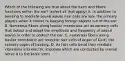 Which of the following are true about the hairs and fibers functions within the ear? (select all that apply) A. In addition to bending to mediate sound waves hair cells are also the primary players when it comes to keeping foreign objects out of the ear. B. Numerous fibers along basilar membrane act as sensory cells that detect and adapt the amplitude and frequency of sound waves in order to protect the ear. C. numerous fibers along basilar membrane are receptor hair cells of organ of Corti, the sensory organ of hearing. D. As hair cells bend they mediate vibrations into electric impulses which are conducted by cranial nerve 8 to the brain stem