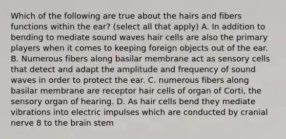 Which of the following are true about the hairs and fibers functions within the ear? (select all that apply) A. In addition to bending to mediate sound waves hair cells are also the primary players when it comes to keeping foreign objects out of the ear. B. Numerous fibers along basilar membrane act as sensory cells that detect and adapt the amplitude and frequency of sound waves in order to protect the ear. C. numerous fibers along basilar membrane are receptor hair cells of organ of Corti, the sensory organ of hearing. D. As hair cells bend they mediate vibrations into electric impulses which are conducted by cranial nerve 8 to the brain stem