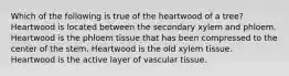 Which of the following is true of the heartwood of a tree? Heartwood is located between the secondary xylem and phloem. Heartwood is the phloem tissue that has been compressed to the center of the stem. Heartwood is the old xylem tissue. Heartwood is the active layer of vascular tissue.