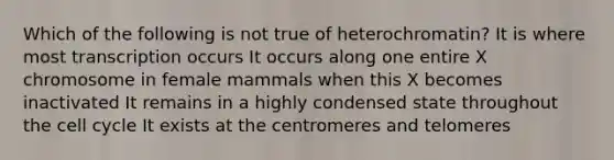 Which of the following is not true of heterochromatin? It is where most transcription occurs It occurs along one entire X chromosome in female mammals when this X becomes inactivated It remains in a highly condensed state throughout the cell cycle It exists at the centromeres and telomeres