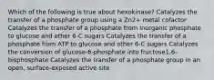 Which of the following is true about hexokinase? Catalyzes the transfer of a phosphate group using a Zn2+ metal cofactor Catalyzes the transfer of a phosphate from inorganic phosphate to glucose and other 6-C sugars Catalyzes the transfer of a phosphate from ATP to glucose and other 6-C sugars Catalyzes the conversion of glucose-6-phosphate into fructose1,6-bisphosphate Catalyzes the transfer of a phosphate group in an open, surface-exposed active site