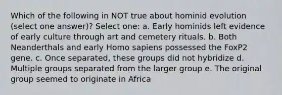 Which of the following in NOT true about hominid evolution (select one answer)? Select one: a. Early hominids left evidence of early culture through art and cemetery rituals. b. Both Neanderthals and early Homo sapiens possessed the FoxP2 gene. c. Once separated, these groups did not hybridize d. Multiple groups separated from the larger group e. The original group seemed to originate in Africa