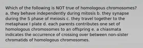 Which of the following is NOT true of homologous chromosomes? a. they behave independently during mitosis b. they synapse during the S phase of meiosis c. they travel together to the metaphase I plate d. each parents contributes one set of homologous chromosomes to an offspring e. a chiasmata indicates the occurrence of crossing over between non-sister chromatids of homologous chromosomes.