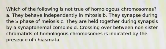 Which of the following is not true of homologous chromosomes? a. They behave independently in mitosis b. They synapse during the S phase of meiosis c. They are held together during synapsis by a synaptonemal complex d. Crossing over between non sister chromatids of homologous chromosomes is indicated by the presence of chiasmata