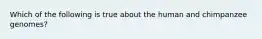 Which of the following is true about the human and chimpanzee genomes?