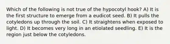 Which of the following is not true of the hypocotyl hook? A) It is the first structure to emerge from a eudicot seed. B) It pulls the cotyledons up through the soil. C) It straightens when exposed to light. D) It becomes very long in an etiolated seedling. E) It is the region just below the cotyledons.