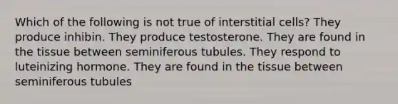 Which of the following is not true of interstitial cells? They produce inhibin. They produce testosterone. They are found in the tissue between seminiferous tubules. They respond to luteinizing hormone. They are found in the tissue between seminiferous tubules