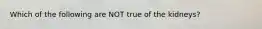 Which of the following are NOT true of the kidneys?