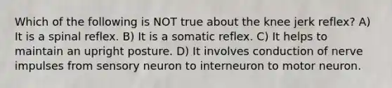 Which of the following is NOT true about the knee jerk reflex? A) It is a spinal reflex. B) It is a somatic reflex. C) It helps to maintain an upright posture. D) It involves conduction of nerve impulses from sensory neuron to interneuron to motor neuron.