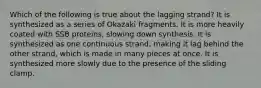 Which of the following is true about the lagging strand? It is synthesized as a series of Okazaki fragments. It is more heavily coated with SSB proteins, slowing down synthesis. It is synthesized as one continuous strand, making it lag behind the other strand, which is made in many pieces at once. It is synthesized more slowly due to the presence of the sliding clamp.