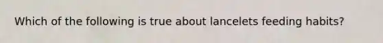 Which of the following is true about lancelets feeding habits?