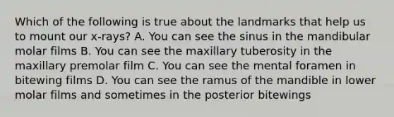 Which of the following is true about the landmarks that help us to mount our x-rays? A. You can see the sinus in the mandibular molar films B. You can see the maxillary tuberosity in the maxillary premolar film C. You can see the mental foramen in bitewing films D. You can see the ramus of the mandible in lower molar films and sometimes in the posterior bitewings