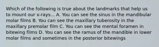 Which of the following is true about the landmarks that help us to mount our x-rays... A. You can see the sinus in the mandibular molar films B. You can see the maxillary tuberosity in the maxillary premolar film C. You can see the mental foramen in bitewing films D. You can see the ramus of the mandible in lower molar films and sometimes in the posterior bitewings