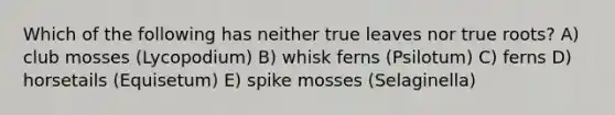 Which of the following has neither true leaves nor true roots? A) club mosses (Lycopodium) B) whisk ferns (Psilotum) C) ferns D) horsetails (Equisetum) E) spike mosses (Selaginella)