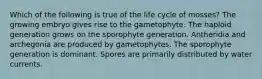 Which of the following is true of the life cycle of mosses? The growing embryo gives rise to the gametophyte. The haploid generation grows on the sporophyte generation. Antheridia and archegonia are produced by gametophytes. The sporophyte generation is dominant. Spores are primarily distributed by water currents.