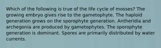 Which of the following is true of the life cycle of mosses? The growing embryo gives rise to the gametophyte. The haploid generation grows on the sporophyte generation. Antheridia and archegonia are produced by gametophytes. The sporophyte generation is dominant. Spores are primarily distributed by water currents.