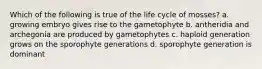 Which of the following is true of the life cycle of mosses? a. growing embryo gives rise to the gametophyte b. antheridia and archegonia are produced by gametophytes c. haploid generation grows on the sporophyte generations d. sporophyte generation is dominant