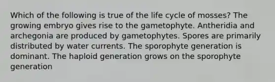 Which of the following is true of the life cycle of mosses? The growing embryo gives rise to the gametophyte. Antheridia and archegonia are produced by gametophytes. Spores are primarily distributed by water currents. The sporophyte generation is dominant. The haploid generation grows on the sporophyte generation