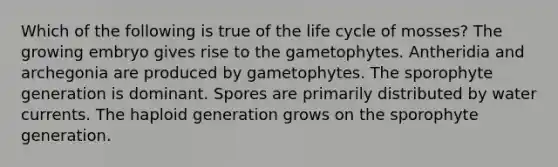 Which of the following is true of the life cycle of mosses? The growing embryo gives rise to the gametophytes. Antheridia and archegonia are produced by gametophytes. The sporophyte generation is dominant. Spores are primarily distributed by water currents. The haploid generation grows on the sporophyte generation.