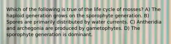 Which of the following is true of the life cycle of mosses? A) The haploid generation grows on the sporophyte generation. B) Spores are primarily distributed by water currents. C) Antheridia and archegonia are produced by gametophytes. D) The sporophyte generation is dominant.