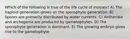 Which of the following is true of the life cycle of mosses? A) The haploid generation grows on the sporophyte generation. B) Spores are primarily distributed by water currents. C) Antheridia and archegonia are produced by gametophytes. D) The sporophyte generation is dominant. E) The growing embryo gives rise to the gametophyte