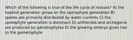 Which of the following is true of the life cycle of mosses? A) the haploid generation grows on the sporophyte generation B) spores are primarily distributed by water currents C) the sporophyte generation is dominant D) antheridia and archegonia are produced by gametophytes E) the growing embryo gives rise to the gametophyte