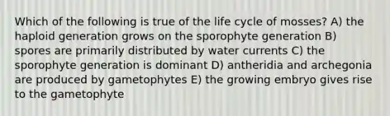 Which of the following is true of the life cycle of mosses? A) the haploid generation grows on the sporophyte generation B) spores are primarily distributed by water currents C) the sporophyte generation is dominant D) antheridia and archegonia are produced by gametophytes E) the growing embryo gives rise to the gametophyte