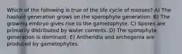 Which of the following is true of the life cycle of mosses? A) The haploid generation grows on the sporophyte generation. B) The growing embryo gives rise to the gametophyte. C) Spores are primarily distributed by water currents. D) The sporophyte generation is dominant. E) Antheridia and archegonia are produced by gametophytes.