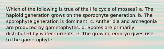 Which of the following is true of the life cycle of mosses? a. The haploid generation grows on the sporophyte generation. b. The sporophyte generation is dominant. c. Antheridia and archegonia are produced by gametophytes. d. Spores are primarily distributed by water currents. e. The growing embryo gives rise to the gametophyte.