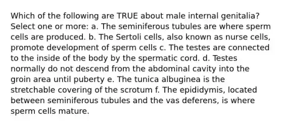 Which of the following are TRUE about male internal genitalia? Select one or more: a. The seminiferous tubules are where sperm cells are produced. b. The Sertoli cells, also known as nurse cells, promote development of sperm cells c. The testes are connected to the inside of the body by the spermatic cord. d. Testes normally do not descend from the abdominal cavity into the groin area until puberty e. The tunica albuginea is the stretchable covering of the scrotum f. The epididymis, located between seminiferous tubules and the vas deferens, is where sperm cells mature.