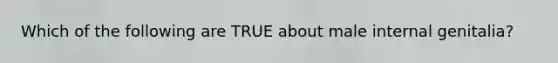 Which of the following are TRUE about male internal genitalia?